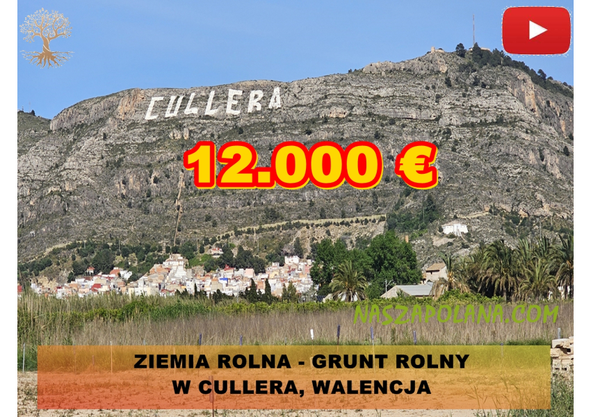 Ziemia rolna - grunt rolny w Cullera, Walencja