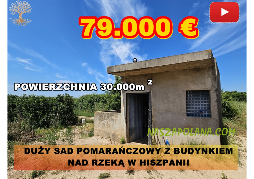 Duży sad pomarańczowy z budynkiem  nad rzeką w walencji