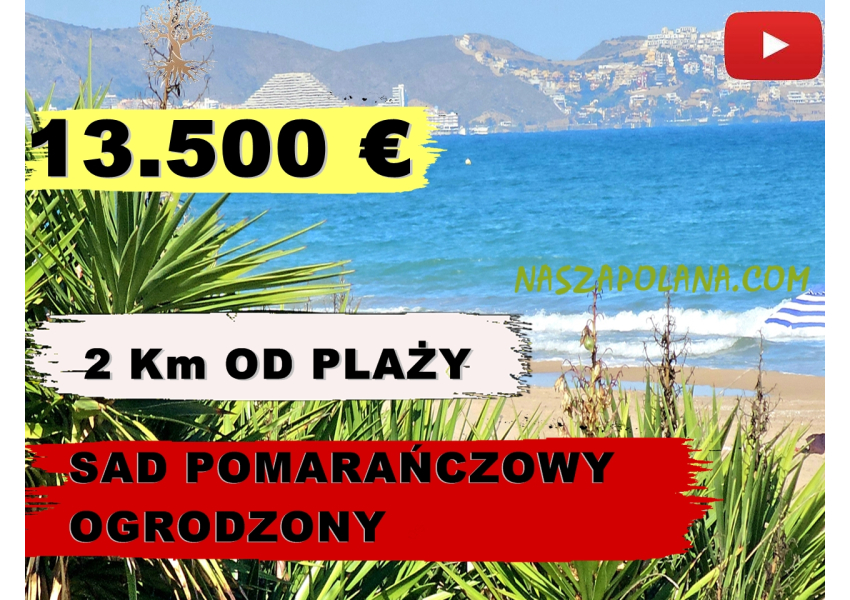 Sad pomarańczowy 2 km od moza, Walencja